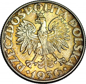 2 Gold 1936, Segelschiff, EXCELLENT
