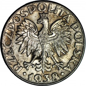 50 pennies 1938 nickel-plated, minted