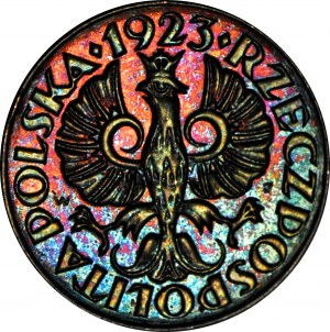 1 Pfennig 1923, Münze