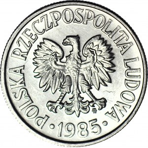 RR-, 50 groszy 1985, PROOFLIKE (rocznik nie ma zestawów lustrzanych)
