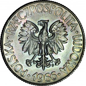 10 złotych 1966 Kościuszko duży, najniższy nakład, menniczy