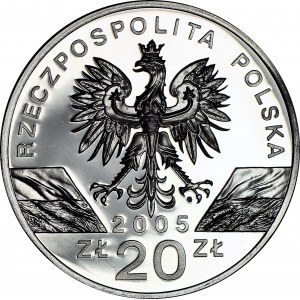 20 złotych 2005, Puchacz