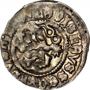 Čechy, Ladislav II Jagellonský (1471-1516), denár, lev/písmeno W pod korunou