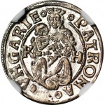 Węgry, Władysław II Jagiellończyk, Denar, 1507 KB, Kremnica,menniczy
