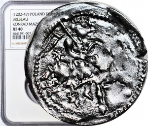 RR-, Casimiro I Kujawski (1211-1267), Denar 1236-1248, Principe a cavallo