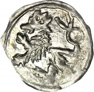 Slesia, Giorgio di Podiebrad 1454-1462, Halerz senza data, Leone/Aquila, zecca, R5, piume d'aquila lunghe e sottili