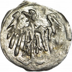 Silesia, George of Podebrad 1454-1462, Halerz no date, Lion/Eagle, mint, R5, long and thin eagle feathers