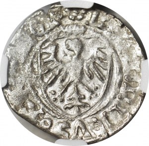 Casimir IV Jagiellonian, Shelagus, Gdansk, minted