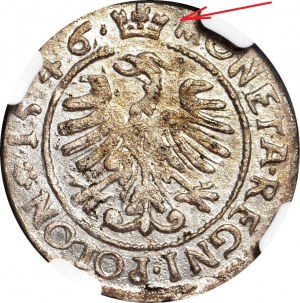 RRR-, Sigismondo I il Vecchio, Penny 1546, Cracovia, molto raro, NOTE rumene!!!