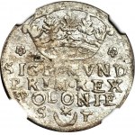RRR-, Zygmunt I Stary, Grosz 1546, Kraków, b. rzadki, Romańczyk NIE NOTUJE!!!