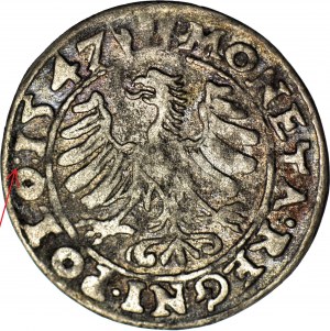 RRR-, Sigismond Ier le Vieux, Penny 1547, Cracovie, très rare, RRR roumain (4-10pcs connus)
