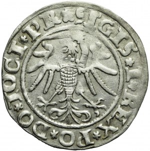 Sigismund I the Old, 1535 penny, Elblag, PR