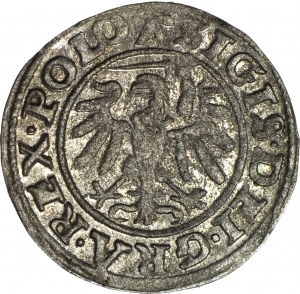 R-. Sigismund I. der Alte, Schellfisch 1539 Danziger Rosette, R3.