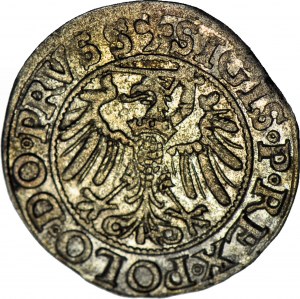 Žigmund I. Starý, Elbląg 1539