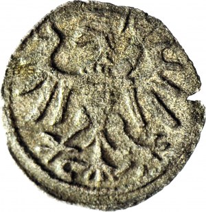 RR-, Sigismondo I il Vecchio, Denario 1539 M-S, Danzica, T 20mk