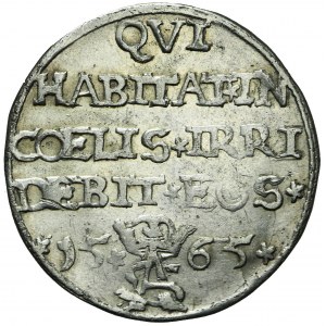 RR-, Sigismund II Augustus, Mockingbird Trophy 1565, Tykocin, STARS, very rare