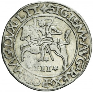 RR-, Sigismund II Augustus, Mockingbird Trophy 1565, Tykocin, STARS, very rare