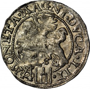 R-, Sigismund II. Augustus, polnischer Fußpfennig 1568, Tykocin, gemünzt