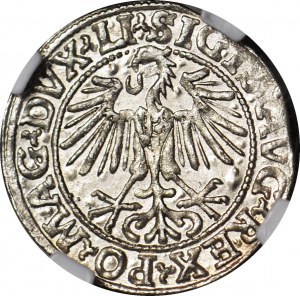 Sigismond II Auguste, demi-penny 1548, Vilnius, arabe 1, monnaie