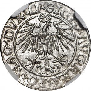 Zikmund II Augustus, půlpenny 1549, Vilnius, mincovna, malá honba, jednoduchý štít