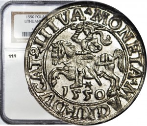 Sigismund II. Augustus, Halbpfennig 1550, Wilna, geprägt