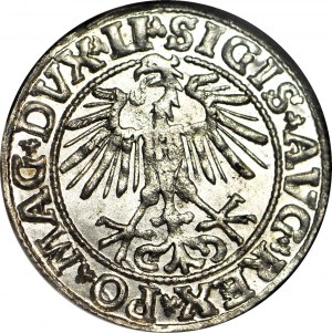 Sigismondo II Augusto, Mezzo centesimo 1550, Vilnius, coniato
