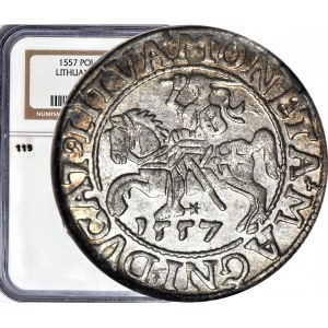 Sigismund II. Augustus, Halbpfennig 1557, Wilna, geprägt