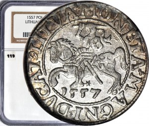 Sigismund II. Augustus, Halbpfennig 1557, Wilna, geprägt