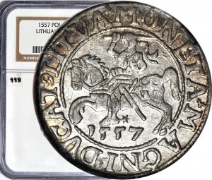 Sigismund II Augustus, Half-penny 1557, Vilnius, minted