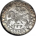 Sigismund II. Augustus, Halbpfennig 1557, Wilna, geprägt