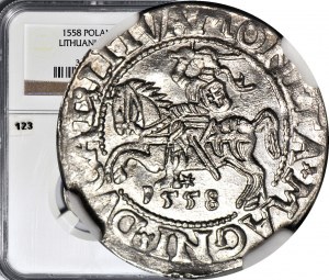 Sigismondo II Augusto, mezzo penny 1558, Vilnius, LI/LITVA coniato