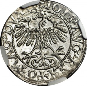 Sigismund II Augustus, Half-penny 1558, Vilnius, LI/LITVA minted