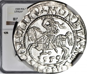 Zikmund II August, půlpenny 1559, Vilnius, nádherný