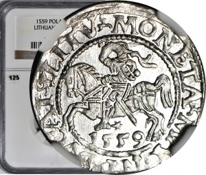 Sigismondo II Augusto, mezzo penny 1559, Vilnius, magnifico