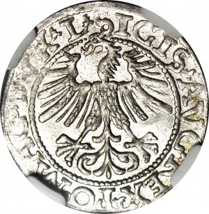 Zikmund II Augustus, půlpenny 1562, Vilnius, raženo