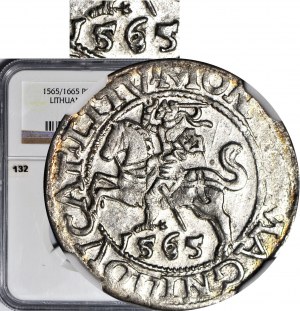 RR-, Sigismund II Augustus, Halber Pfennig 1566 durchstochen 1565, Wilna, gemünzt