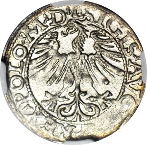 RR-, Žigmund II Augustus, polgroš 1566 prelamovaný 1565, Vilnius, razené