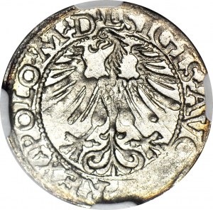RR-, Sigismond II Auguste, Demi-penny 1566 percé 1565, Vilnius, frappé
