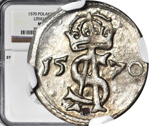 Zikmund II Augustus, dvoudolar 1570 Vilnius, raženo