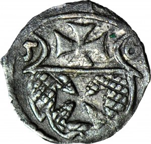 R-, Sigismondo II Augusto, Denario 1556, Elbląg