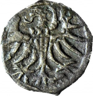 R-, Sigismond II Auguste, Denier 1556, Elbląg