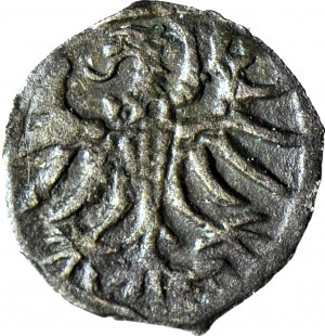 R-, Zikmund II Augustus, denár 1556, Elbląg