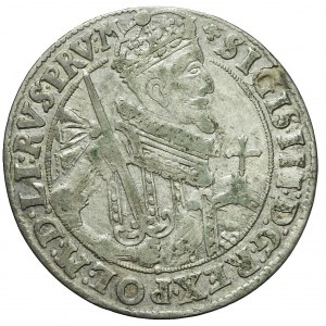 Zygmunt III Waza, Ort 1623, Bydgoszcz, bardzo rzadki, ozdobniki przy tarczy