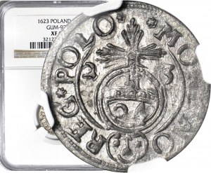 Sigismund III Vasa, Half-track 1623, Bydgoszcz, minted