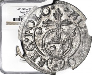 Sigismond III Vasa, Półtorak 1623, Bydgoszcz, frappé