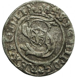 Zygmunt III Waza, Szeląg 1600, Ryga, data +600