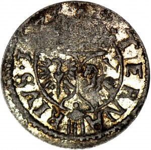 R-, Sigismund III. Vasa, Ternar 1625, Łobżenica, R4