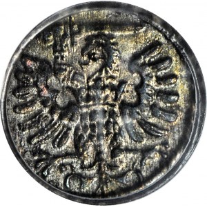 R-, Zygmunt III Waza, Denar 1591, Gdańsk, rzadki rocznik