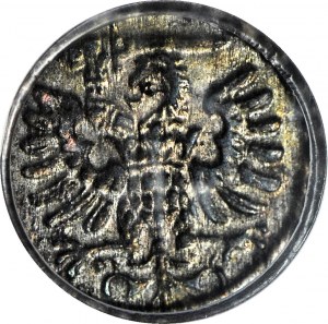 R-, Sigismondo III Vasa, Denario 1591, Danzica, annata rara