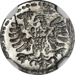 Sigismond III Vasa, Denier 1594, Gdansk, WY WYMIENITY